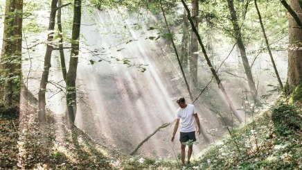 Bayerns Wälder werden Teil der Gesundheitsversorgung: In Bayerns Kur- und Heilwäldern können Präventionsangebote künftig mit Zuschuss der Krankenkasse genutzt werden. Möglich macht das eine neue Kooperation des Bayerischen Heilbäder-Verbands (BHV) mit der UNESCO-Biosphärenregion Berchtesgadener Land. Foto: Gesundes Bayern/Daniel Zangerl Bayerns Wälder werden Teil der Gesundheitsversorgung: In Bayerns Kur- und Heilwäldern können Präventionsangebote künftig mit Zuschuss der Krankenkasse genutzt werden. Möglich macht das eine neue Kooperation des Bayerischen Heilbäder-Verbands (BHV) mit der UNESCO-Biosphärenregion Berchtesgadener Land. Foto: Gesundes Bayern/Daniel Zangerl