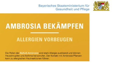 Ausschnitt Plakat Aktionsprogramm Ambrosia Bekämpfung des Bayerischen Staatsministeriums für Gesundheit und Pflege, © Bayerisches Staatsministerium für Gesundheit und Pflege