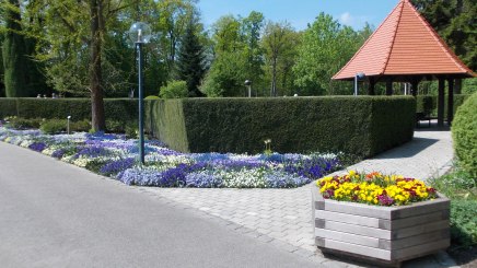Hecken können als vertikale Sedimentationsflächen für Pollen eingesetzt werden., © Kur- und GästeService Bad Füssing KdöR Hecken können als vertikale Sedimentationsflächen für Pollen eingesetzt werden., © Kur- und GästeService Bad Füssing KdöR
