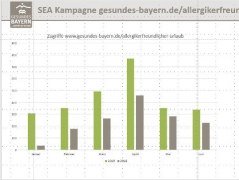 Die Seitenzugriffe wurden durch die SEA-Maßnahmen ganz erheblich gesteigert