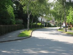 Knapp 60 Birken gaben einer Allee in Bad Füssing ihren Namen, © Bauamt Gemeinde Bad Füssing