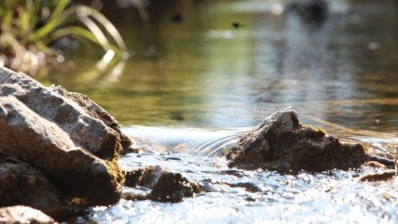 Bachlauf in den bayerischen Alpen, &copy; Bayerischer Heilb&auml;der-Verband e.V.