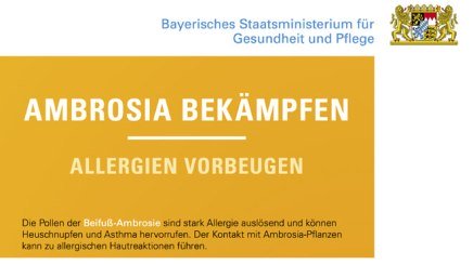 Ausschnitt Plakat Aktionsprogramm Ambrosia Bekämpfung des Bayerischen Staatsministeriums für Gesundheit und Pflege, © Bayerisches Staatsministerium für Gesundheit und Pflege Ausschnitt Plakat Aktionsprogramm Ambrosia Bekämpfung des Bayerischen Staatsministeriums für Gesundheit und Pflege, © Bayerisches Staatsministerium für Gesundheit und Pflege