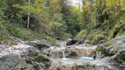Wald - Wasser Wald - Wasser