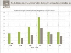 Die Seitenzugriffe wurden durch die SEA-Maßnahmen ganz erheblich gesteigert