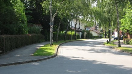 Knapp 60 Birken gaben einer Allee in Bad Füssing ihren Namen, © Bauamt Gemeinde Bad Füssing