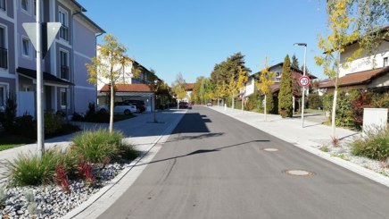 Nach der Umgestaltung 2018 stehen nur noch allergikerfreundliche Gleditschien in der Birkenallee, © Bauamt Gemeinde Bad Füssing
