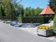 Hecken können als vertikale Sedimentationsflächen für Pollen eingesetzt werden., © Kur- und GästeService Bad Füssing KdöR