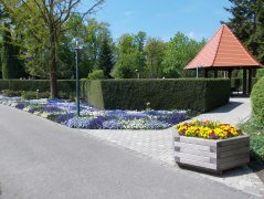 Hecken können als vertikale Sedimentationsflächen für Pollen eingesetzt werden., © Kur- und GästeService Bad Füssing KdöR